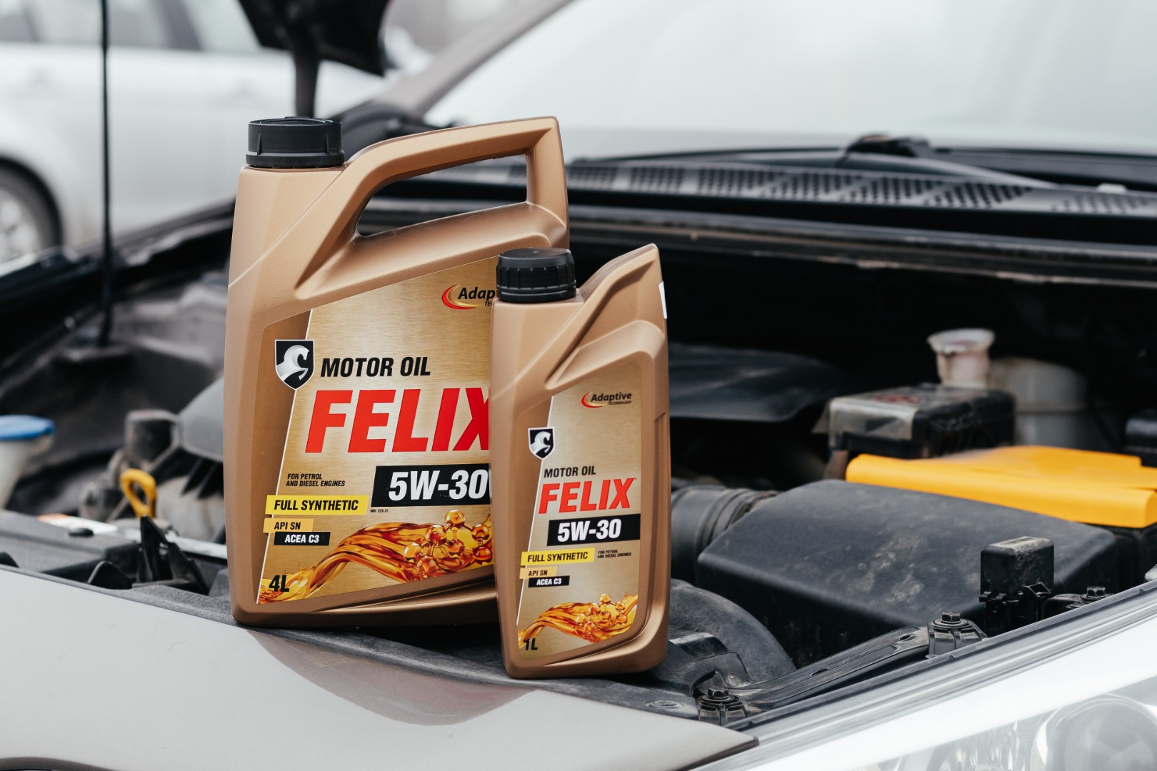 Изображение Моторное масло FELIX 5W-30 ACEA C3, API SN №1