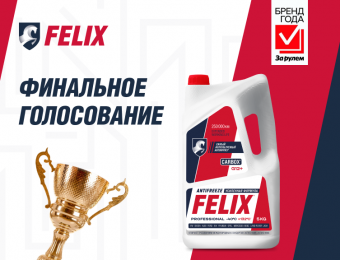 Изображение для записи Голосуйте за FELIX в премии «Бренд года»! 